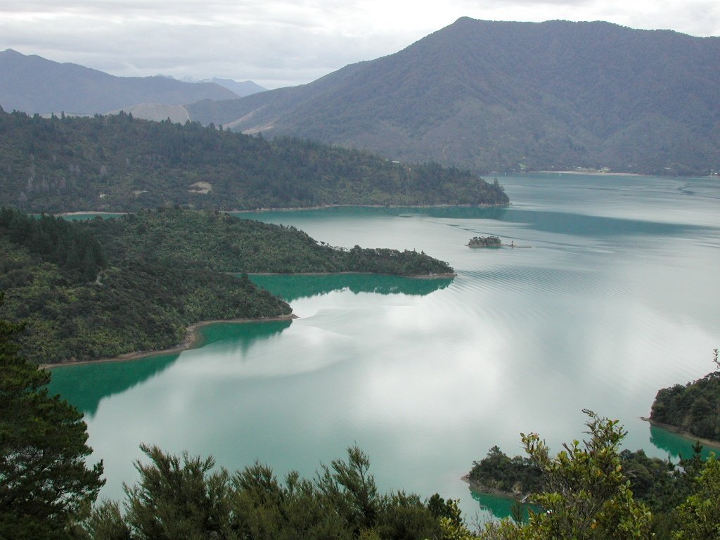 Ship Cove, Queen Charlotte Track on Te Araroa