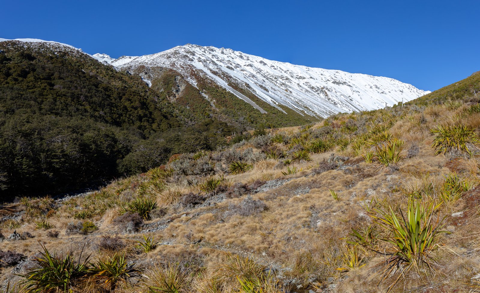 Upper Travers Hut on Te Araroa