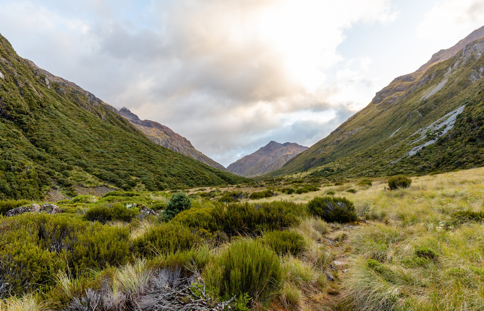 Goat Pass Hut on Te Araroa