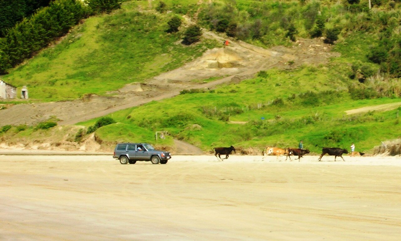 Ahipara lookout (Shipwreck Bay end) on Te Araroa