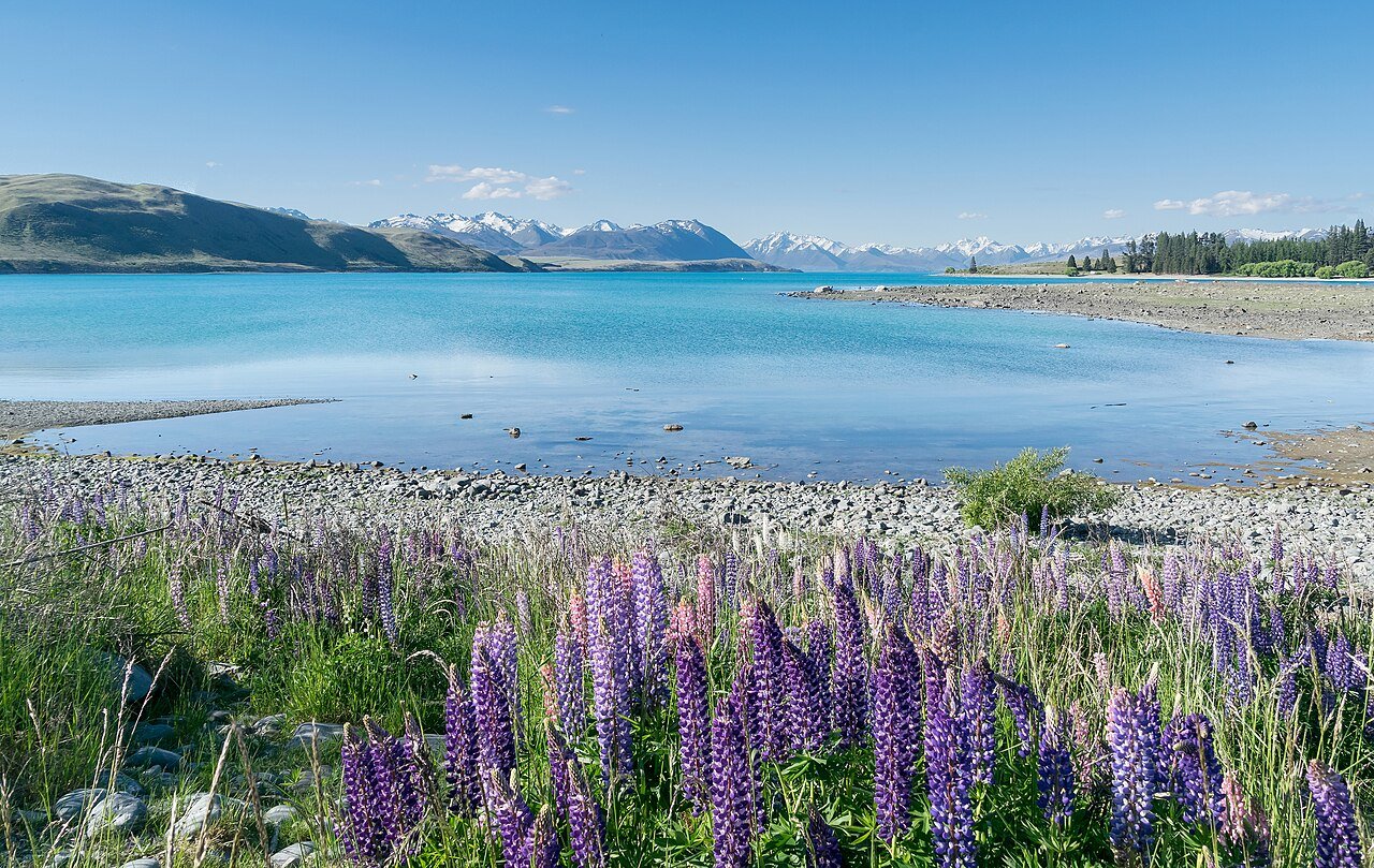 Lake Tekapo on Te Araroa