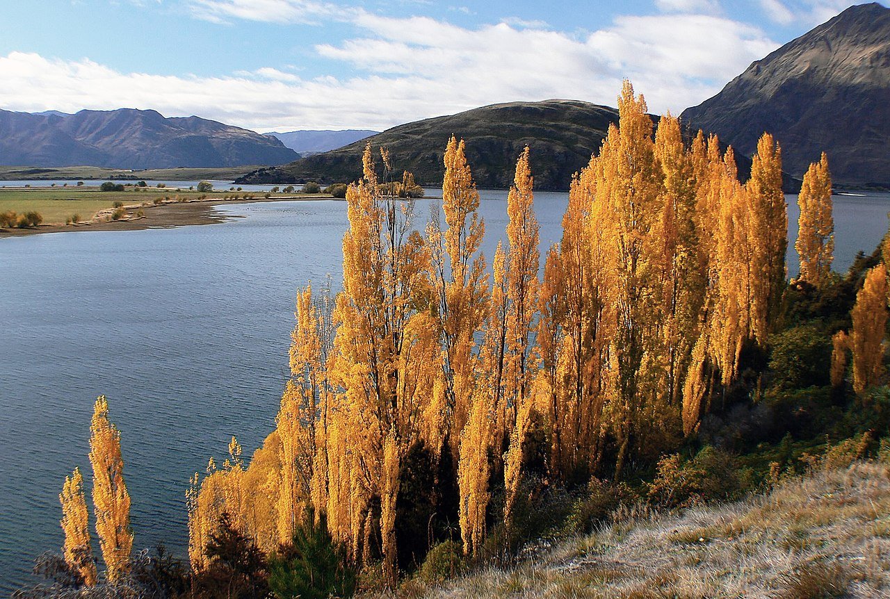 Glendhu Bay on Te Araroa