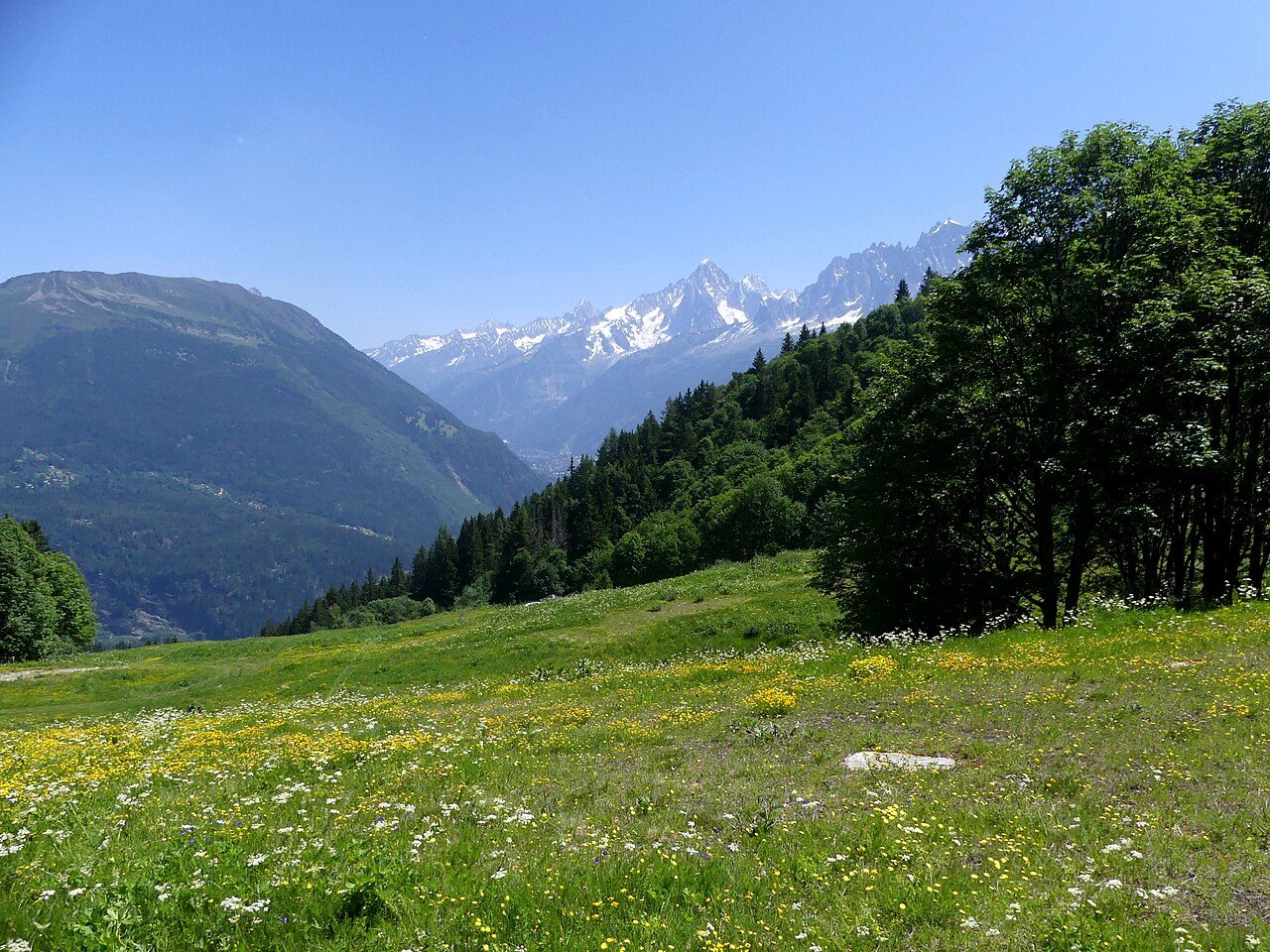Col de Voza on the Tour du Mont Blanc