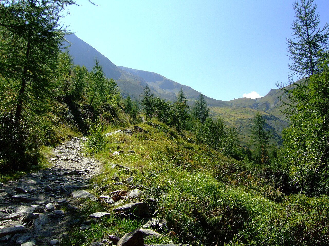 Col de Balme on the Tour du Mont Blanc
