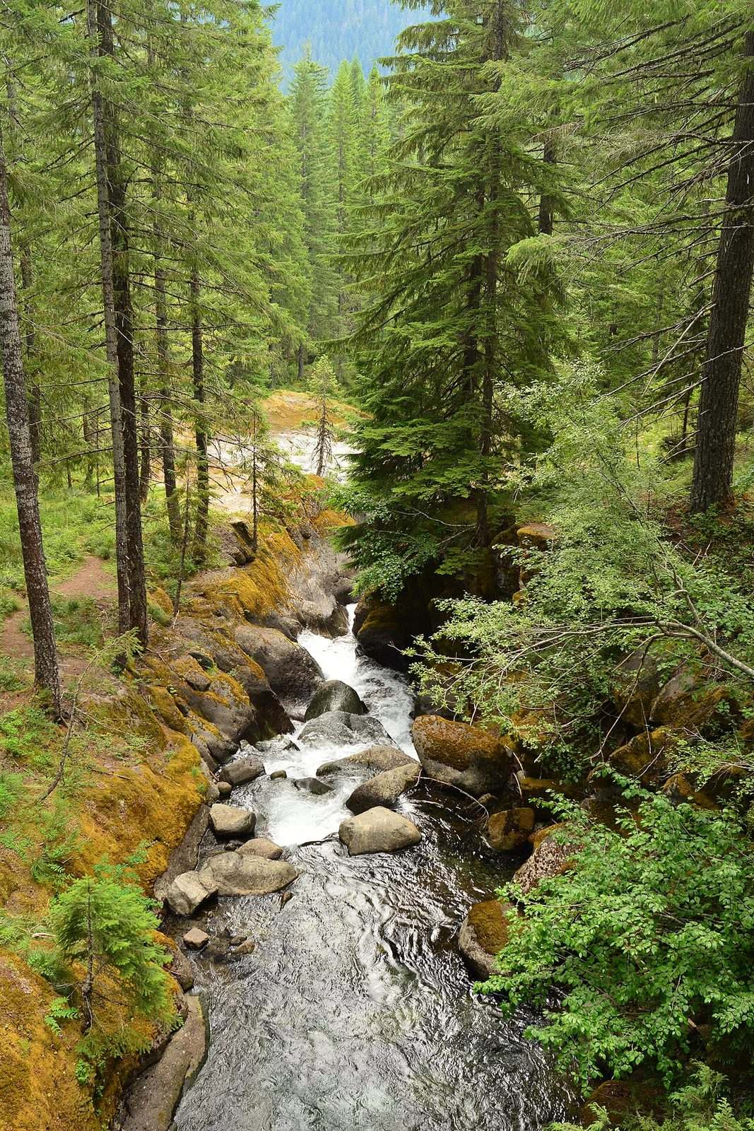 Nickel Creek on the Wonderland Trail