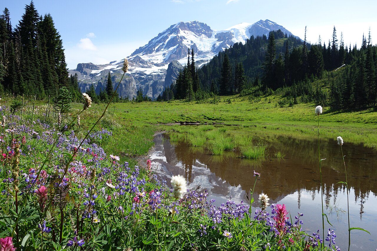 Klapatche Park on the Wonderland Trail